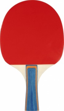 Table tennis bat AVENTO 46TJ