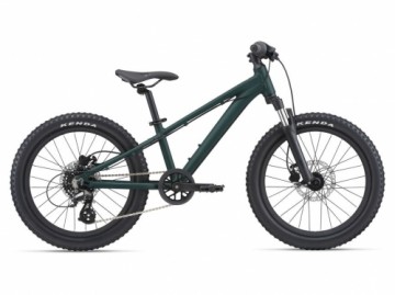 Velosipēds Giant STP 20 FS­ Trekking Green (gab.)