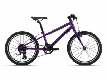 Bērnu velosipēds Giant ARX 20 Purple (gab.)