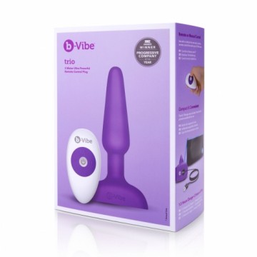 Trio Remote Control Plug Purple B-Vibe 05882530000