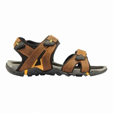 Mountain sandals +8000 Tobut 24V Brown