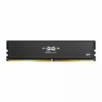 Память RAM Silicon Power SP032GXLWU560FDJ