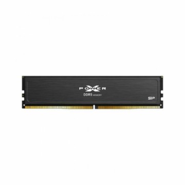 Память RAM Silicon Power SP032GXLWU560FSJ