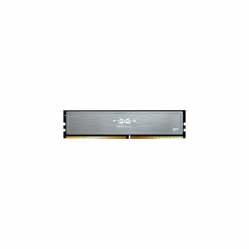 Память RAM Silicon Power SP016GXLZU320BSI