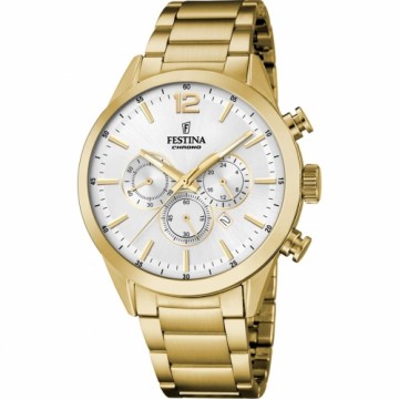 Мужские часы Festina F20633/1