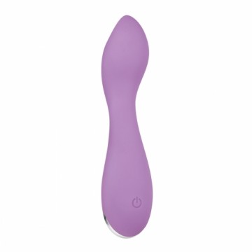 Mini Vibrators Evolved Lilac G Rozā