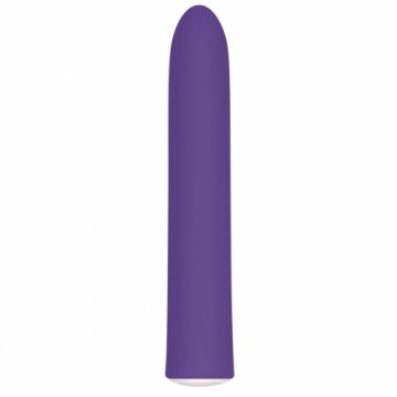 Mini Vibrators Evolved Slim Violets