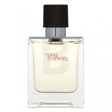 Hermes Terre D'HermÃÂ¨s Edt Natural Spray 50 Ml