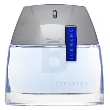 Iceberg Effusion Man Eau de Toilette for men 75 ml