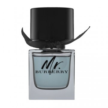 Burberry Mr. Burberry tualetes ūdens vīriešiem 50 ml