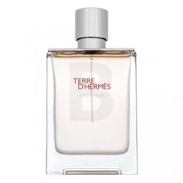 Hermès Terre d'Hermès Eau Givrée - Refillable eau de parfum for men 100 ml