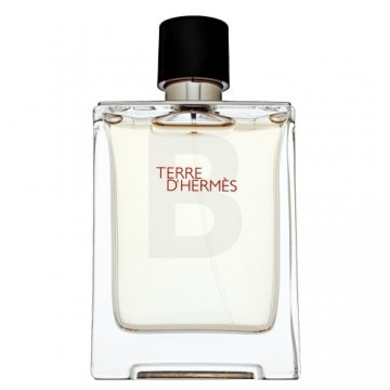 Hermès Terre D'Hermes Tualetes ūdens vīriešiem 100 ml