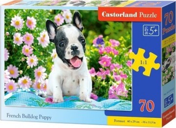 Castorland Puzzle 70 French bulldog puppy CASTOR