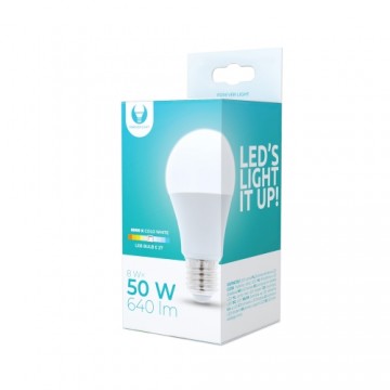 LED bulb E27 A60 8W 230V 6000K 640lm Forever Light