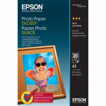 Глянцевая фотобумага А3 (20 листов) Epson C13S042536 A3 20 Листья (1 штук)