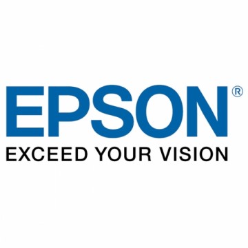 Ламинированная лента для фломастеров Epson C13S015073 Чёрный (1 штук)