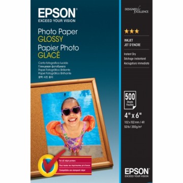 Набор картриджа и фотобумаги Epson C13S042549 500 Листья (1 штук)