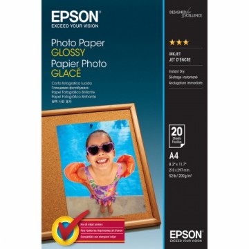 Набор картриджа и фотобумаги Epson C13S042538 A4 20 Листья (1 штук)