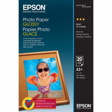 Набор картриджа и фотобумаги Epson C13S042535 A3 20 Листья (1 штук)