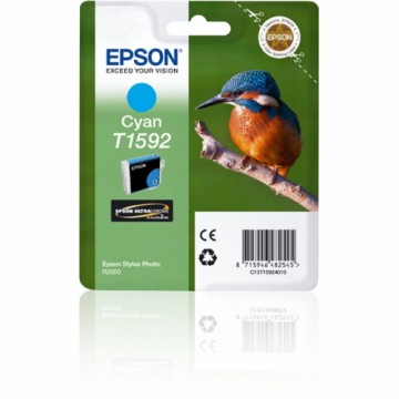 Oriģinālais Tintes Kārtridžs Epson Stylus Photo R2000 Zils Ciānkrāsa