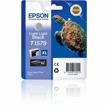 Oriģinālais Tintes Kārtridžs Epson Stylus Photo R3000