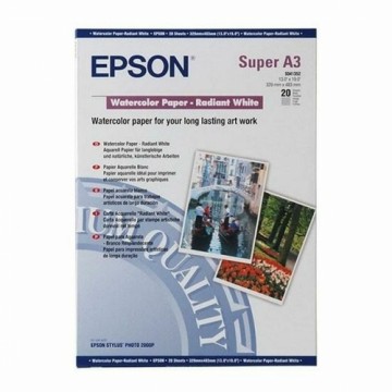 Tintes un Fotopapīru Komplekts Epson C13S041352 A3 20 Loksnes