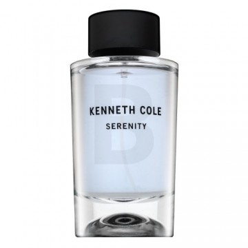 Kenneth Cole Serenity Eau de Toilette for men 100 ml