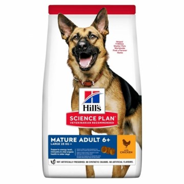 Fodder Hill's Science plan canine Chicken Pig 14 Kg