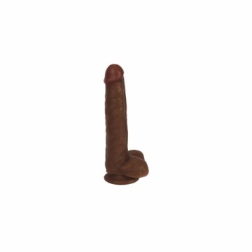 Dildo XR Chocolate