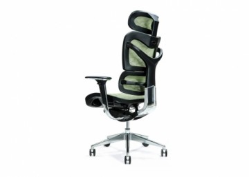 Bemondi Ergonomic office chair ERGO 700 green