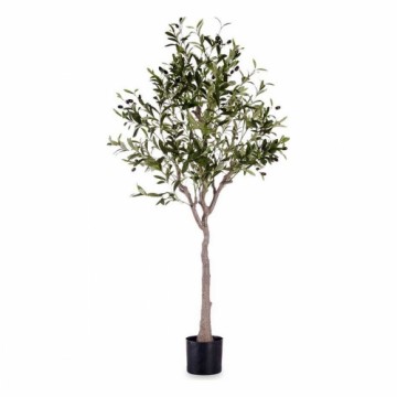 Decorative Plant 73 x 120 x 73 cm Olive tree Green Plastic