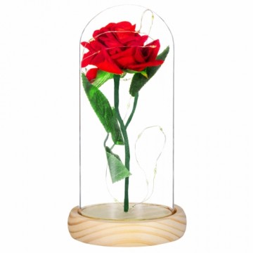 HA5155 ETERNAL ROSE IN GLASS