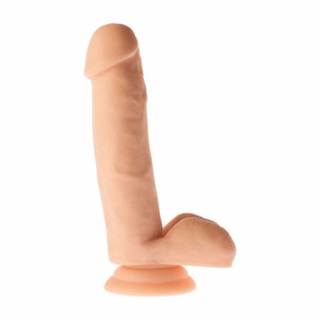 Reālistiskais Dildo Dream Toys Mr Dixx PVC Ø 3,6 cm