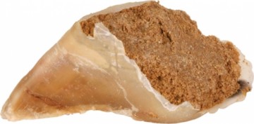 Treats for dogs : Trixie Chewing hoof, with meat filling, 115 g.