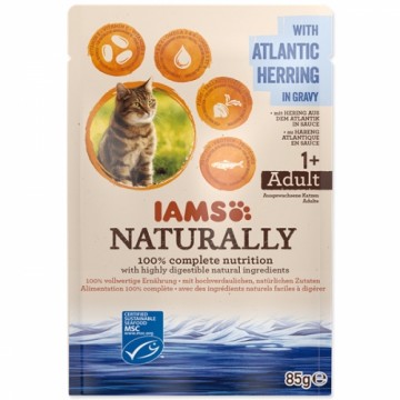 Canned cat food : IAMS CAT Naturally Adult Atlantic Herring in gravy 85gr.