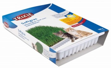 Grass for kittens : Trixie Bio Cat Grass (bowl), 100 g