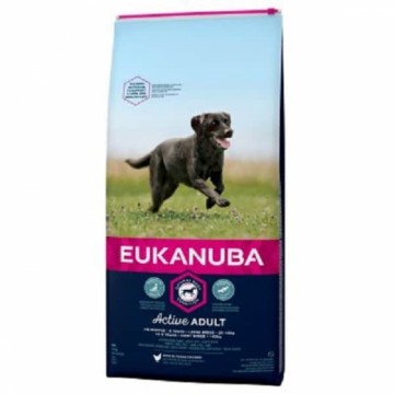 Sausa barība suņiem - Eukanuba Adult Large Breed Chicken, 18 kg