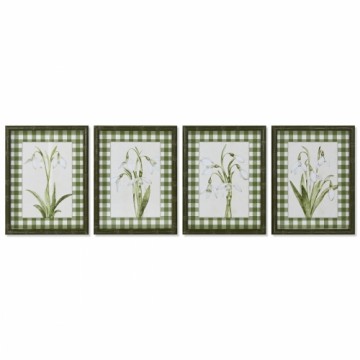 Картина Home ESPRIT Зеленый Бежевый Shabby Chic Ботанические растения 30 x 2,5 x 40 cm (4 штук)