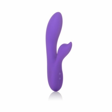 G-Punkta Vibrators California Exotic Novelties Violets