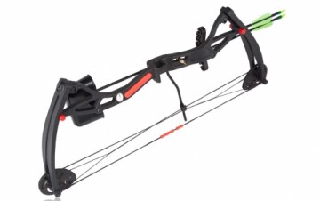 Poe Lang EK BUSTER Black 15-29 LB Compound Bow (CO-034BXS)