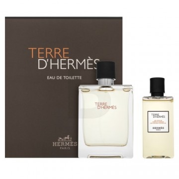 HERMES TERRE EDT SPRAY 100 ML TS