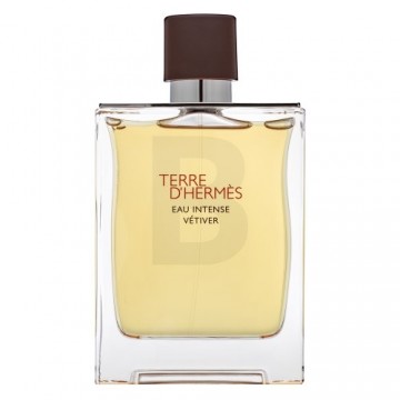 Hermès Terre D'Hermes Eau Intense Vetiver parfimērijas ūdens vīriešiem 200 ml