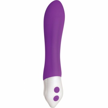 Bullet Vibrator Evolved Purple