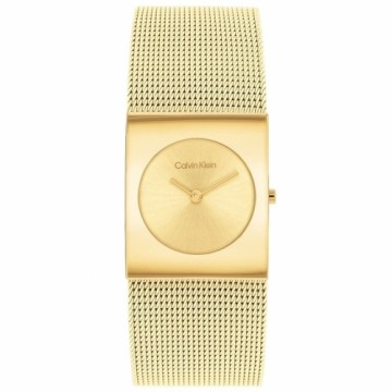 Men's Watch Calvin Klein 25100062