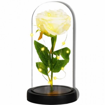 Eternal rose in glass Springos HA7443