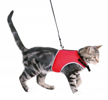 Krūšu siksna veste ar pavadu kaķiem : Trixie Soft harness with lead for cats, 24–42 cm, 1,20 m