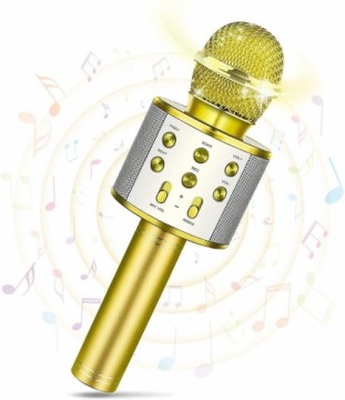 RoGer Bluetooth Microphone Karaoke With Build In Speaker / 2x 5W / Aux / USB / MicroSD / Gold