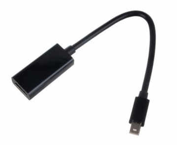 RoGer Adapter to Transfer mini DP to HDMI Black