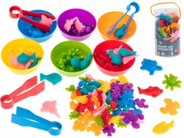 RoGer Montessori Toy Set 36 pcs.