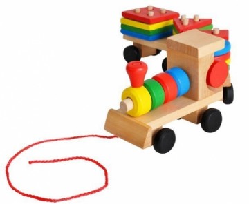 RoGer Wooden Educational Train Sorter Bricks